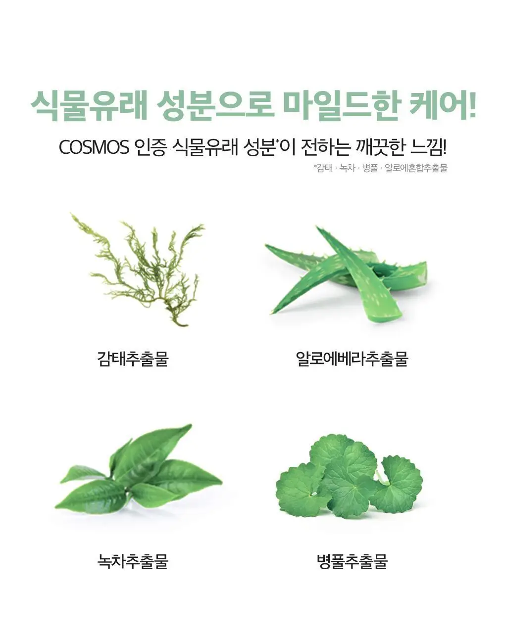 [무알콜가글] 루치펠로 그린웨이브 가글 500ml 상세페이지 7